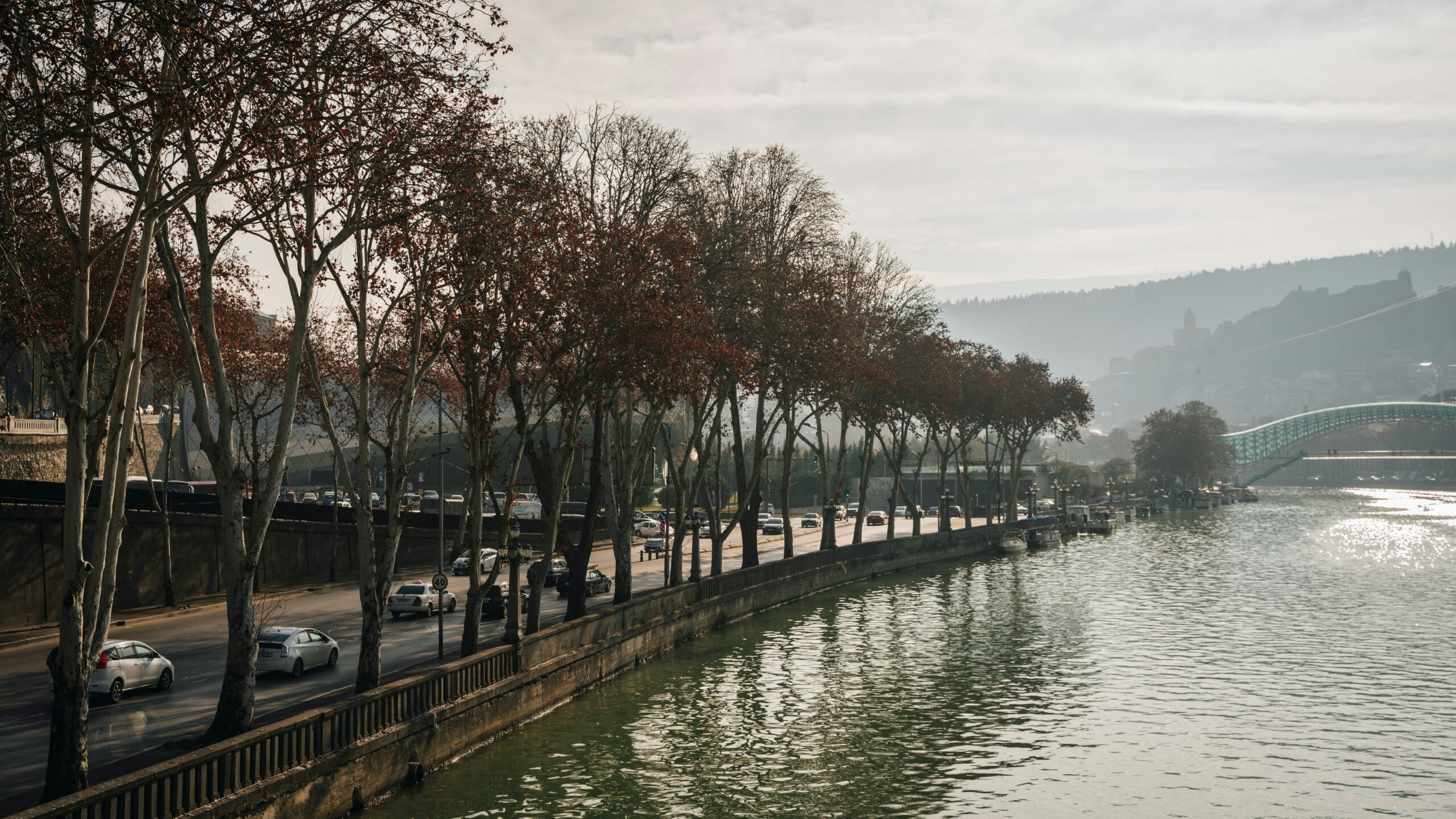a body of water surrounded by trees and a bridge