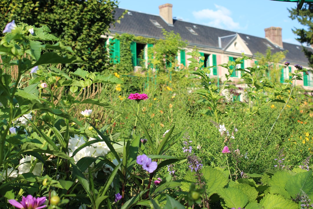 Tendance
Extérieurs & jardin : un salon vert à l'intérieur du Parc-Expo de