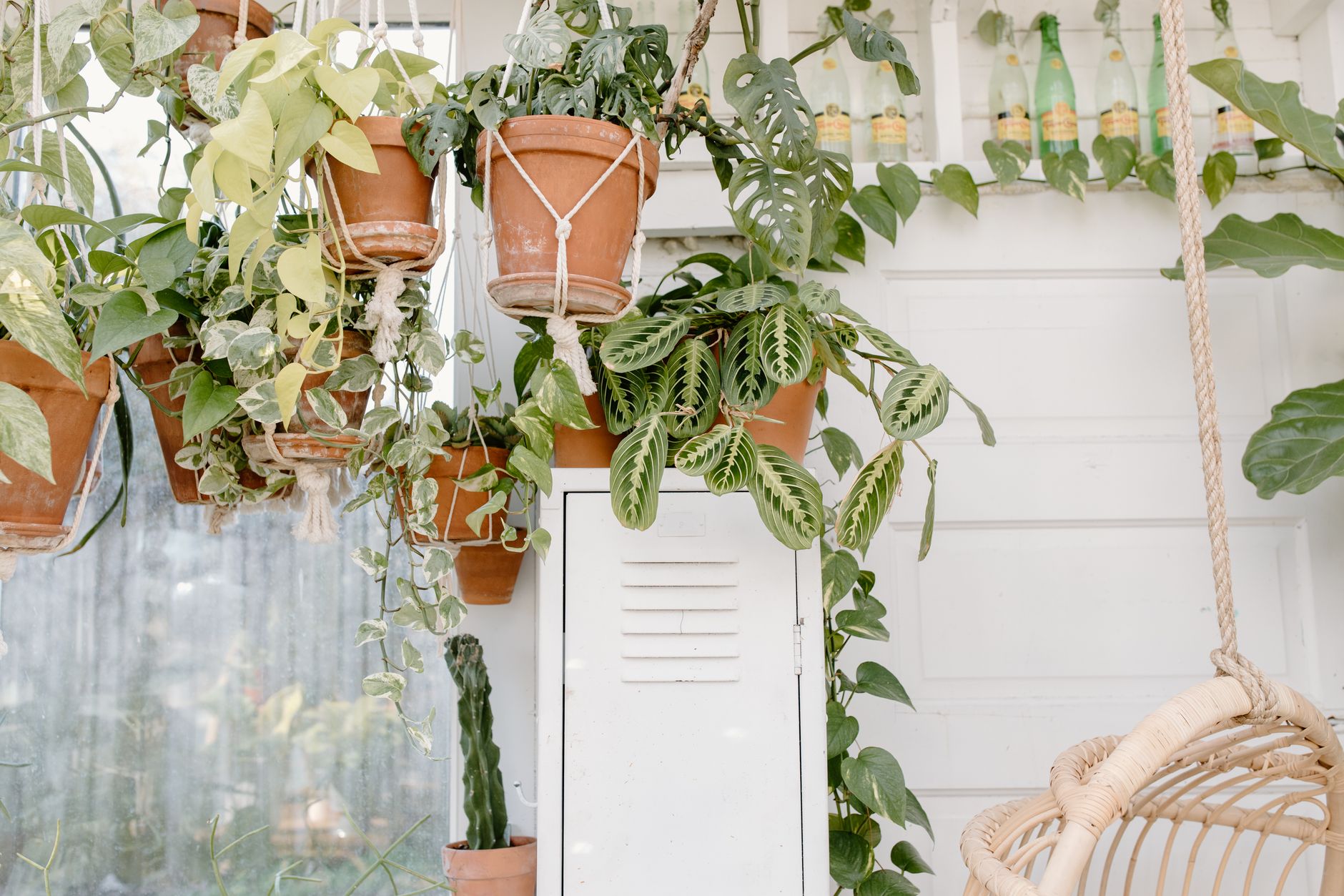 Décoration bohème avec macramé et plantes