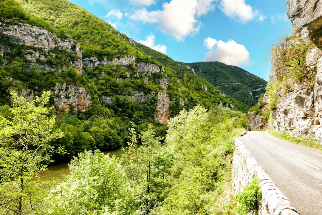 A scenic view of a mountain with a river running through it