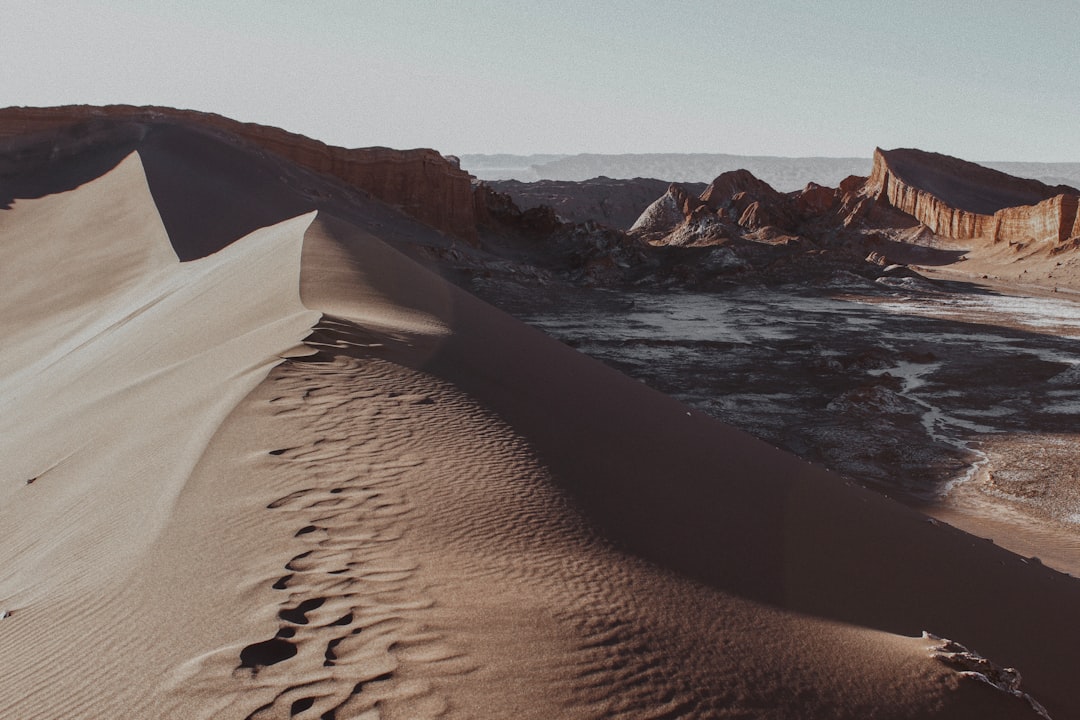 brown sand near body of water during daytime